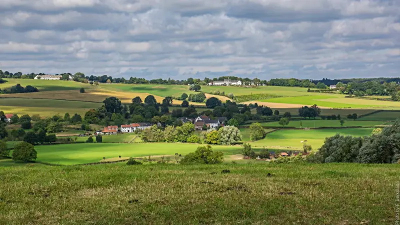 Zuid-Limburgs landschap